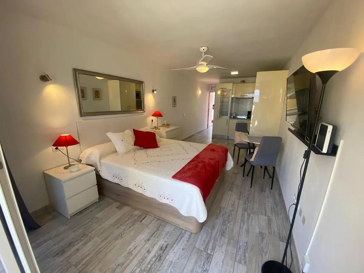 Контакты Sea View Studio Apartment Playa De La Arena D